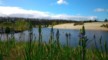 Netl - Natuur